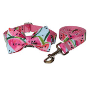 Dog Collar Pet Leash