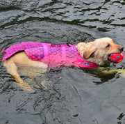 Dog swimwear pet rescue kits