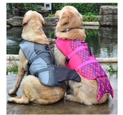 Dog swimwear pet rescue kits