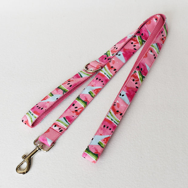 Dog Collar Pet Leash